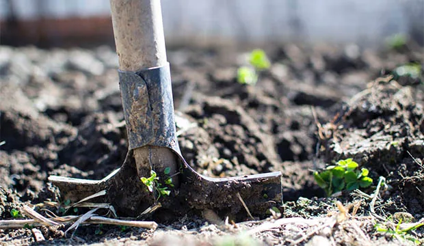 Een spade bewerkt de grond voor tuinaanleg