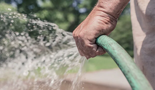 Planten krijgen water met een tuinslang